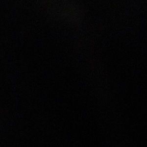 Meet your Posher, Ronnie